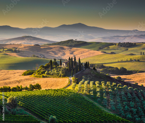 Tuscany landscape in golden morning light, Val d'Orcia, Italy