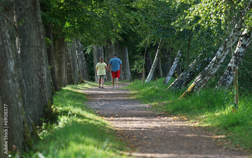 promenade sur chemin en forêt