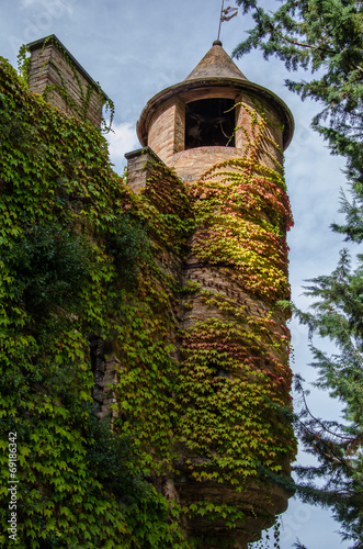 Torretta del Castello della pallotta con edera