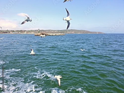 Керченский пролив, чайки и море