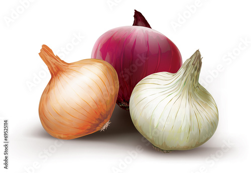 Onions of different colors
