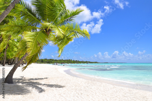 Palm trees and tropical beach