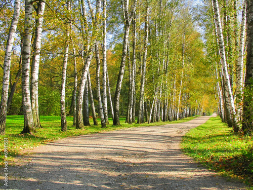 Autumn Preshpect, Yasnaya Polyana, Tula, Russia