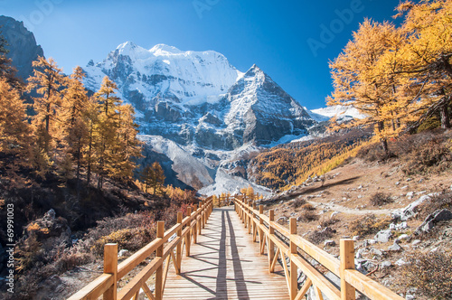 wooden walk in colorful autumn at Yading China.