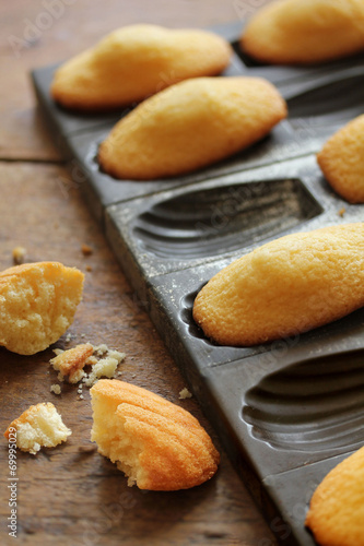 Madeleines-6559