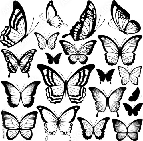 butterflies black silhouettes