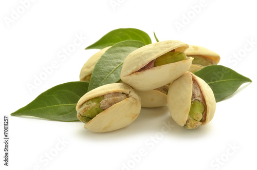 Pistacia vera Pistachio Pistacchio Pistacja właściwa Pistazie