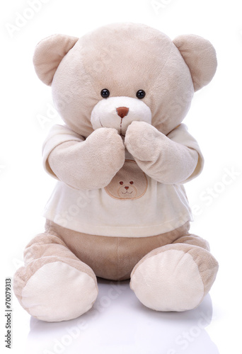 Teddy bear