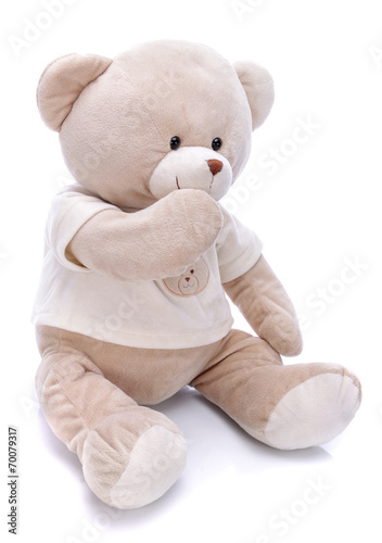 Teddy bear