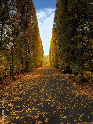 Jesień w parku, Gdańsk Oliwa, parkowa alejka