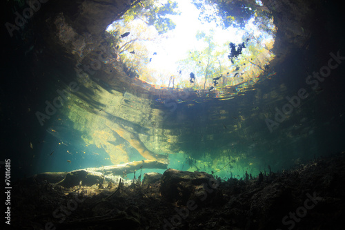 Entrance area of freshwater cave