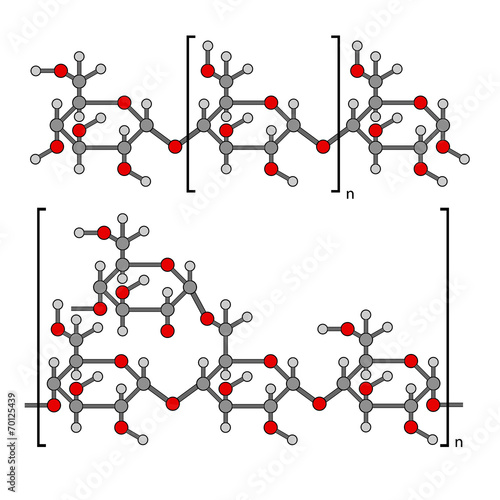 Structural chemical components of starch: amylose, pectin