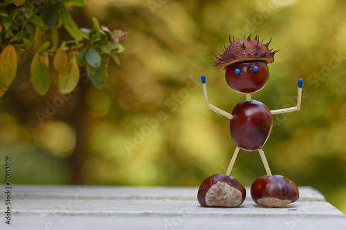 Chestnuts Toys