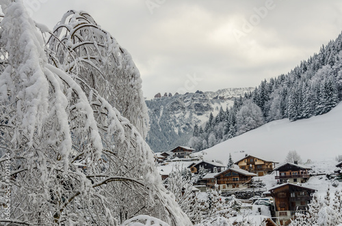 Snowy tree and Morzine vilage chalets