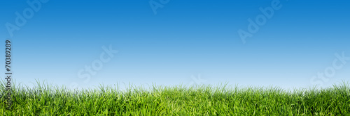 Zielona trawa na błękitne niebo jasne, motyw natury wiosna. Panorama
