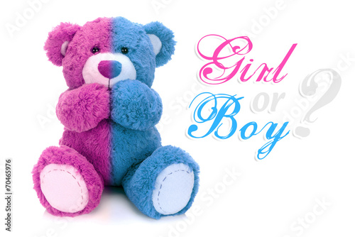 Is it a boy or a girl teddy bear?