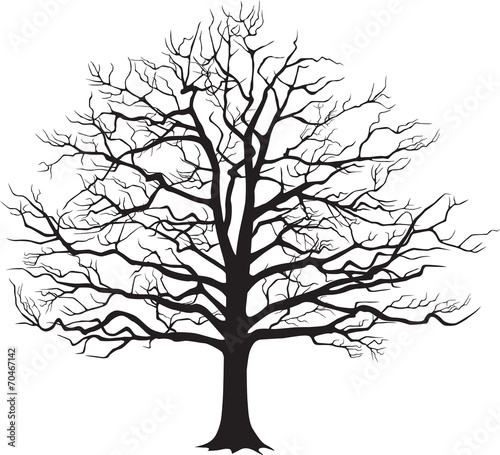 Black silhouette bare tree . Vector illustration