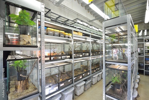 Entomological laboratories in the Zoo