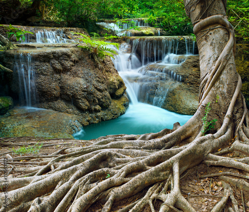 banyan tree and limestone waterfalls in purity deep forest use n