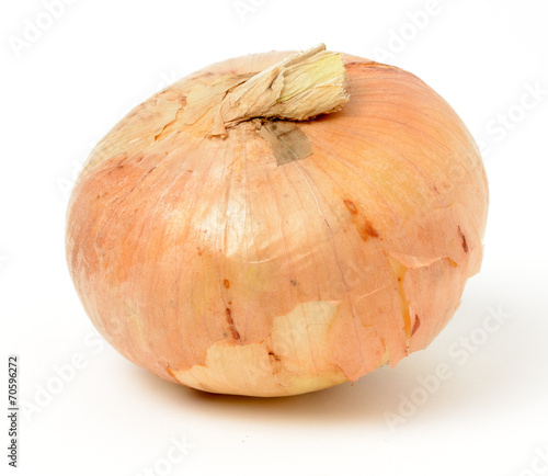 Onion