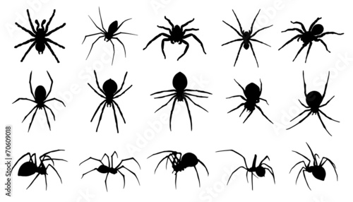 spider silhouettes