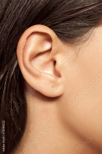 close-up of female ear