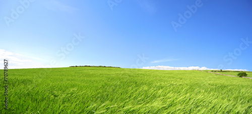 Collina con prato verde e cielo azzurro - Terra - Pianeta verde