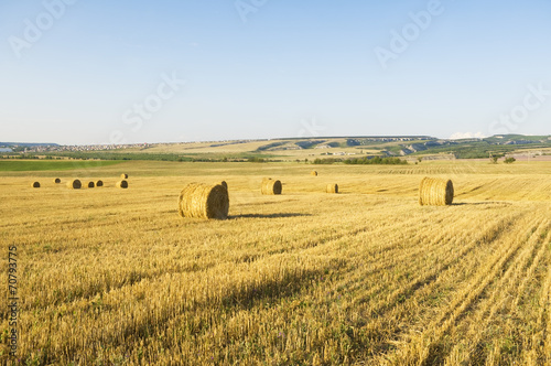 Bales of hay in a large field.