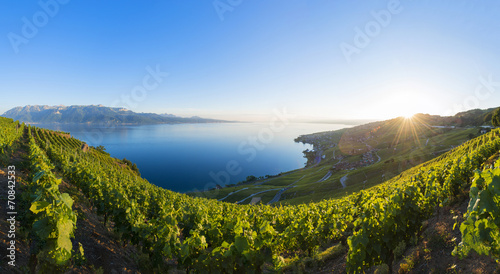 Lavaux Panorama