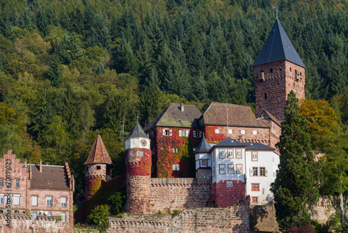 Burg Zwingenberg / Zwingenburg