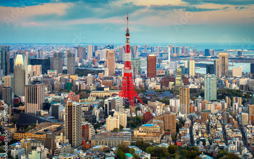 Tokyo city view visible on the horizon