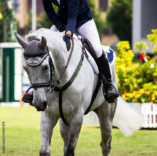 Horse jumping competition