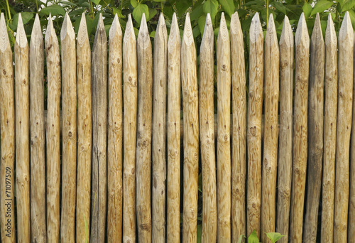 Solid picket fence of sharp stakes