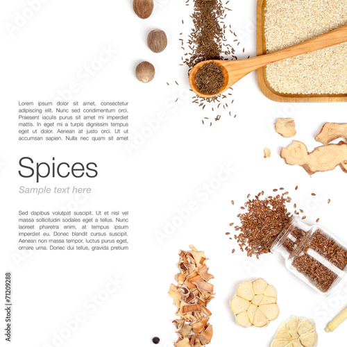 spices on white background