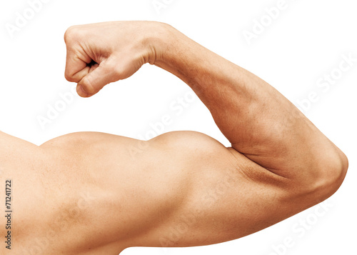 Strong male arm shows biceps. Close-up photo isolated on white