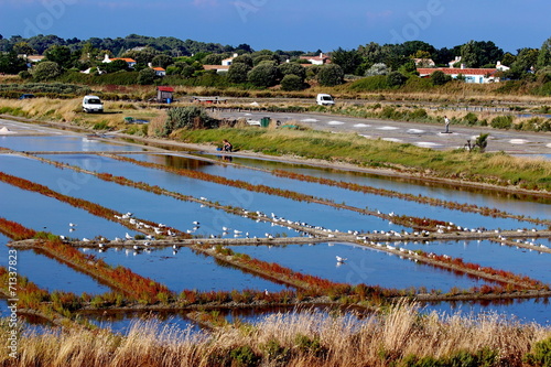 marais salant-guérande