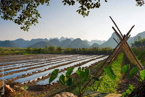 Landwirtschaft in China