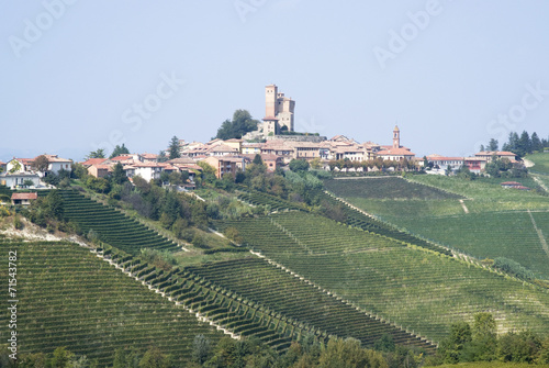 Viticulture in the village of Serralunga d'Alba, Italy