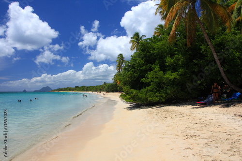 Les Saline - Martinique