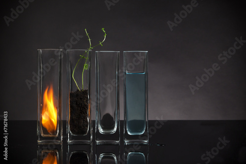 The four elements still-life