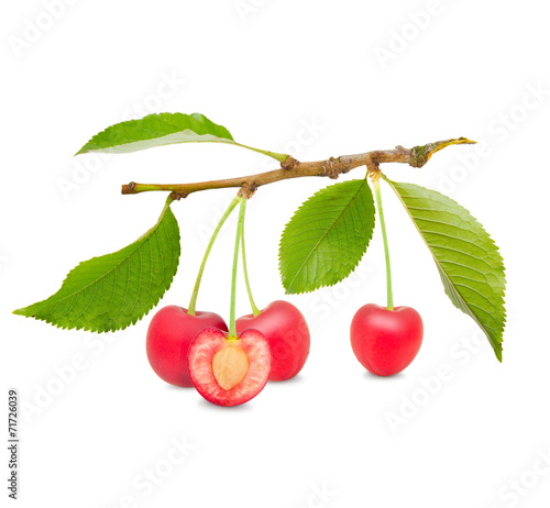 Cherries isolated