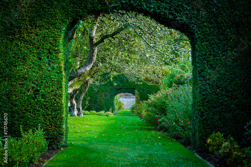 Green plant arches in english countryside garden