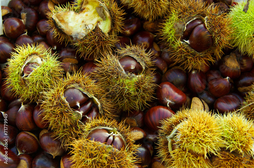 chestnuts background