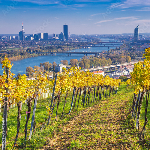 Viniculture Vienna, Austria