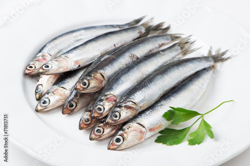 Fresh anchovies