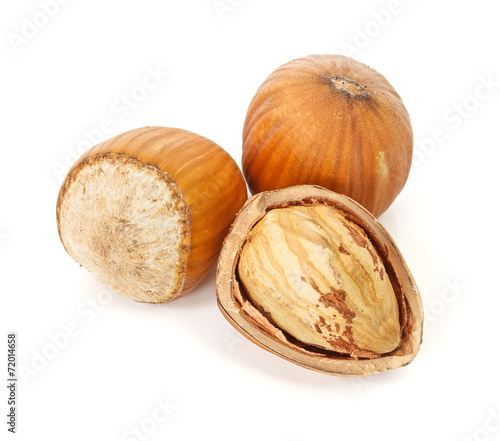 Hazelnut seeds