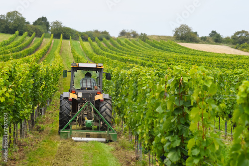 Weinbauer arbeitet mit Traktor im Weingarten