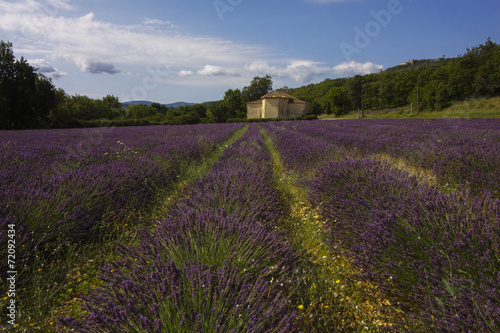 Provence, Luberon, Viens St Ferreol