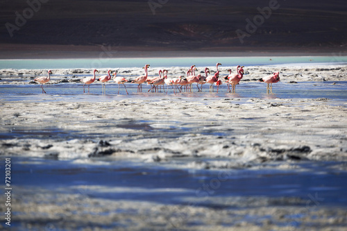 Lagoon Brava, La Rioja, Argentina