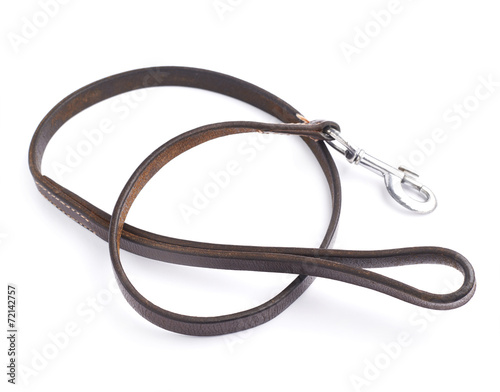 Old leather dog leash composition